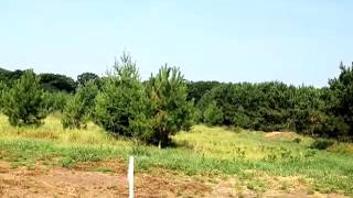 1 Tree Top Trail video tour