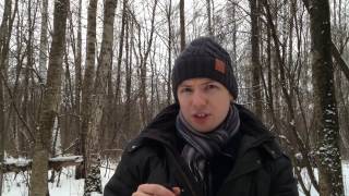 YTPC (and channel) Intro (aka "Hello from the frozen forest").