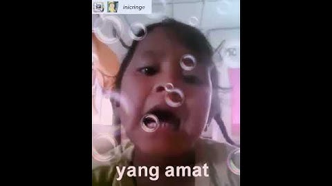 VIDEO ASLI MAKAN DAGING ANJING DENGAN SAYUR KOOL! #VIRAL