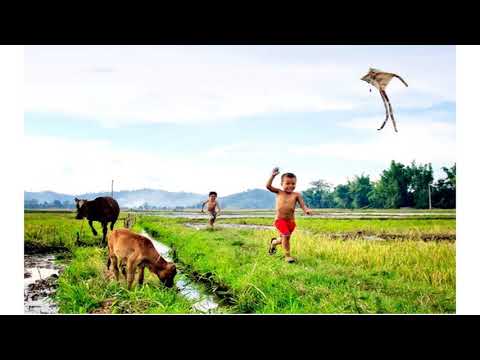 Video QUÊ HƯƠNG - Đỗ Trung Quân - youtube
