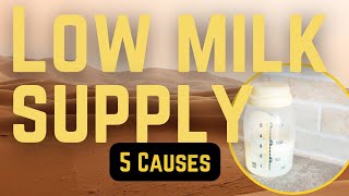 Player Profile Day 7: Low Milk Supply CAUSES | Low Milk Production