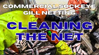 How to Pick Salmon Gill Net Fishing | F/V Kaizen | One of Bristol Bay's Top 10 Producing Boat