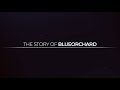 Blueorchard pioneer talks  episode 1  the story of blueorchard