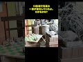 【アハ動画17】 東京ディズニーランド グーフィーのペイント&プレイハウス 編 写真の一部が変化するよ。