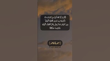 سورة فاطر الآية ٢٦ الى ٢٨ بصوت الشيخ محمد صديق المنشاوي