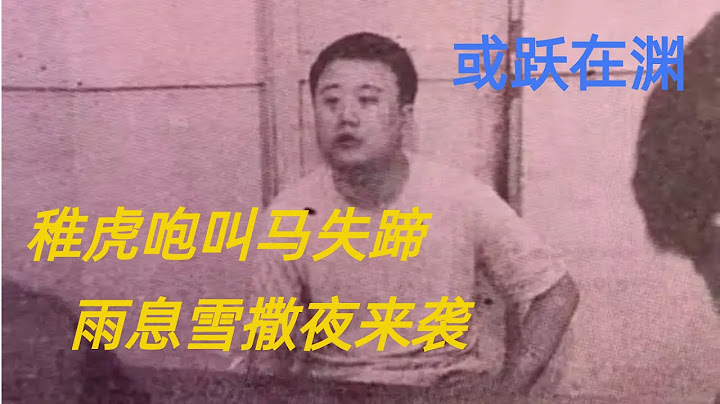第七十五回 稚虎咆叫马失蹄，雨息雪撒夜来袭 - 天天要闻