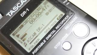 The Water Is Wide/ Ed Gerhard TASCAM/DR-1 TEST RECORDING