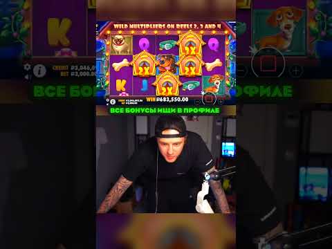 Узнайте статус вывода денег из казино через СБП в России