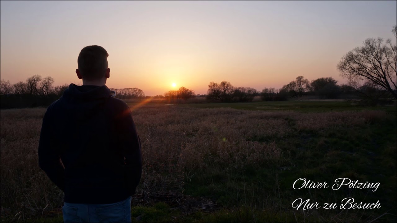 Die Toten Hosen - Nur zu Besuch (Oliver Pölzing Cover)