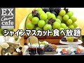 【季節のフルーツ食べ放題】超穴場カフェ発見！シャインマスカットおかわり自由！