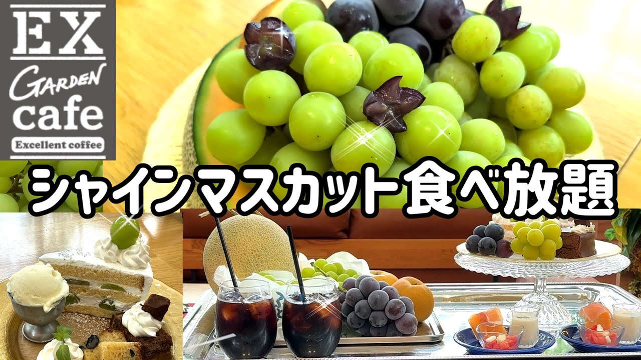 【季節のフルーツ食べ放題】超穴場カフェ発見！シャインマスカットおかわり自由！