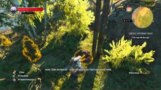 The Witcher 3: Wild Hunt Where is the CROWS eye part 1