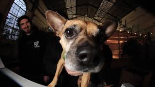 Mini Dirty South At Arsenaal Skatepark New Fingerboard Park