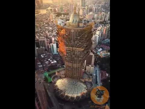 @кіт шредінгера - YouTube