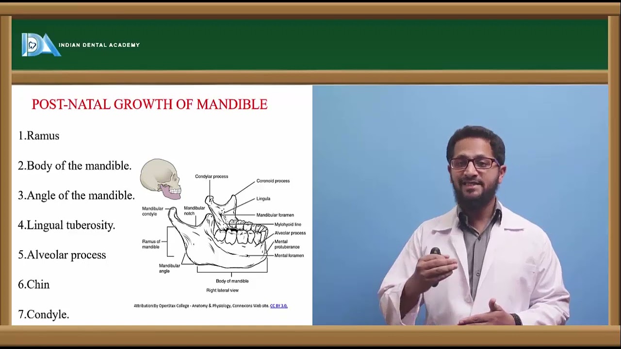 Post natal growth and development of craniofacial structures | Orthodontics | #DDS#MDS#BDS#NBDE#NEET
