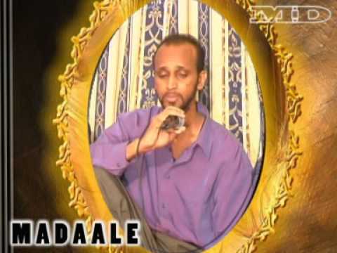 Abdi Hashi Photo 11