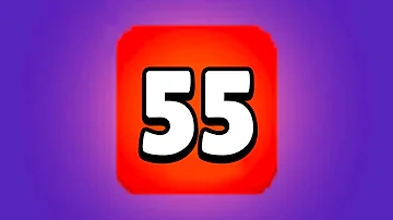 55 55