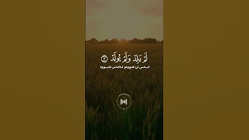 الشيخ ماهر المعيقلي - سورة الإخلاص |بدون اعلانات #اكسبلور #القرآن_الكريم #قصص_الانبياء #ماهر_المعيقل