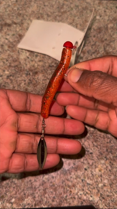 Zman Ned Rig with a lil extra #thecsickfisherman #fishing #shorts