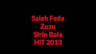 Saleh Feda Ft Zuzu Sirin Bala 2013 Hit