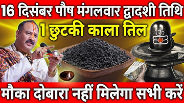 16 दिसंबर पौष मंगलवार द्वादशी तिथि के दिन 1 छुटकी काला तिल वाला उपाय जरुर करे || Pradeep Ji Mishra
