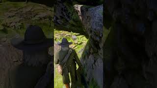 Don't Miss This Secret Treasure Under Waterfall - RDR2