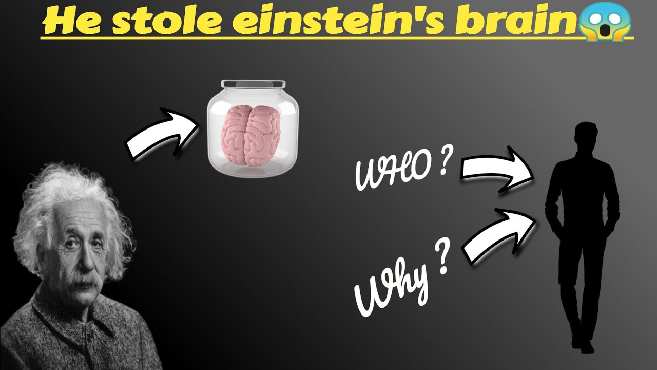 Truth About Stolen brain of Einstein Will Shock You |What Most People ...
