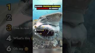 RANKING DAS CRIATURAS MARINHAS MAIS BIZARRAS