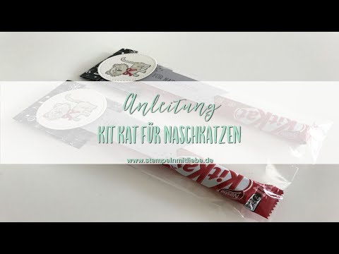 Video: Wo ist Naschkatzen-Set?