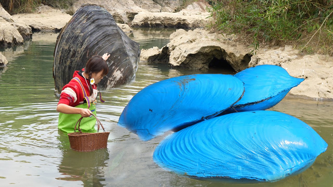 🎁 The Clam That Changed Everything: A Girl’s River Adventure Sparks a Revolutionary Journey