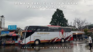 Rp.170.000 Senyaman ini??? .Gebrakan baru PT.kupu Kupu Ayu di jalur ngapak! Jakarta - Wonosobo