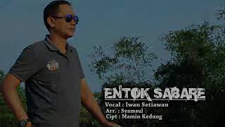 TARLING JUDUL ENTOK SABARE VOKAL IWAN SETIAWAN CIPT MAMIN KEDUNG