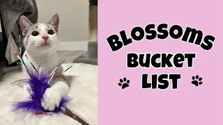 Welcome to Blossom’s Bucket List