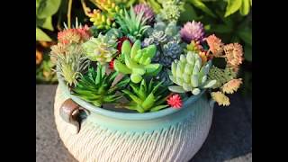 ARTIFICIAL SUCCULENTS --24PCS BULK SUCCULENTS