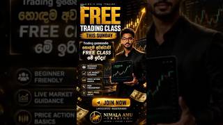 මේවා කතා නෙමෙයි - REAL RESULTS! 🔥📉 #FullGuide #DailySignals #AISignals #Education