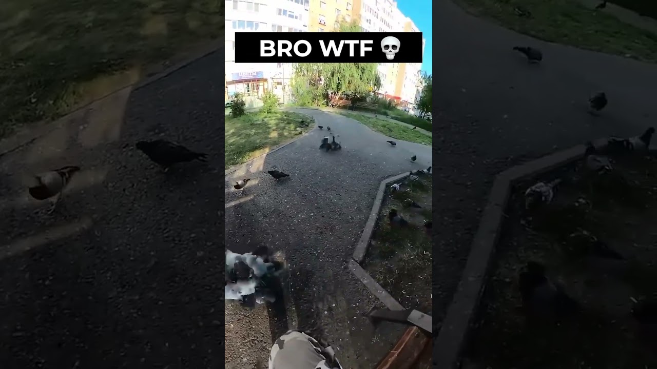 💀 What the hell is that 