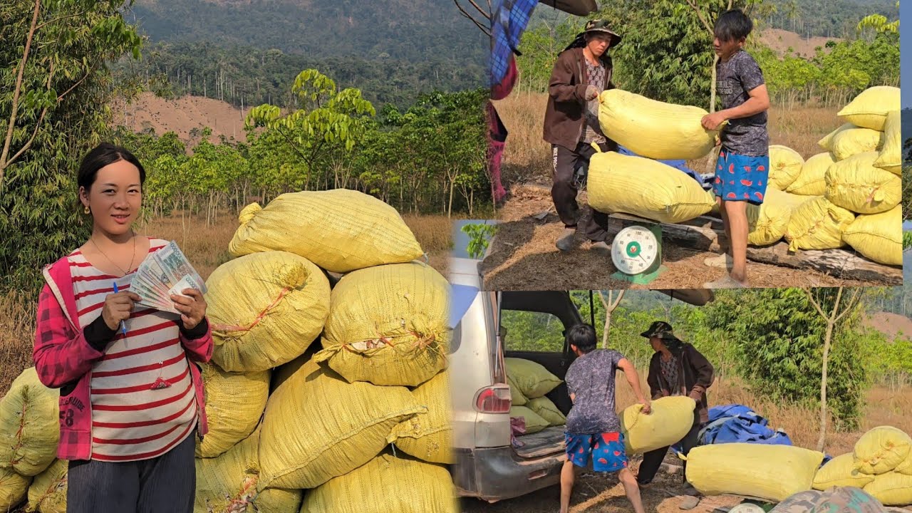 Khwv2 sab2 tau ib qhov me2 li no xwb