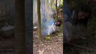 Why They Drill Holes Into Trees Tree Inoculation Explained