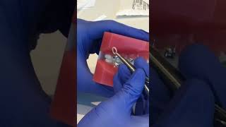 Famous Class II Elastic Net Worth