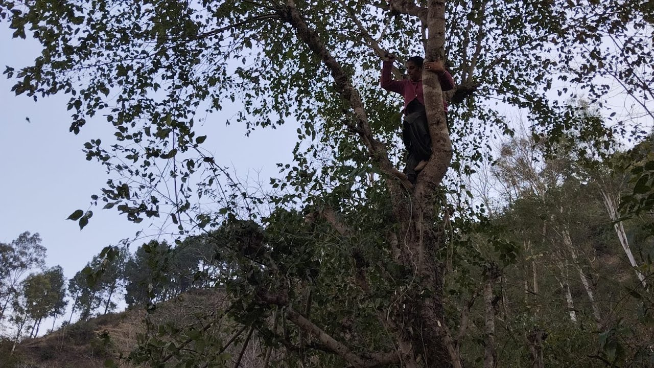 FIRSE KHULNE VALE HAII COLLEGE 💗👏