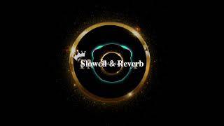 Download Lagu Look at haider❤️ | Haj Mahdi Rasouli | MP3