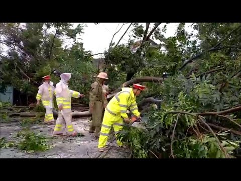 Video CSGT dọn cây ngã đổ do mưa bão khai thông đường - youtube