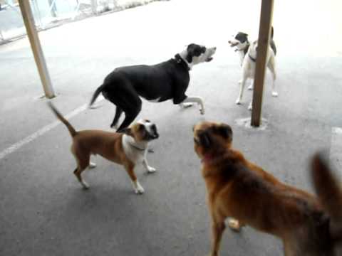 Sunday Daycare part 5