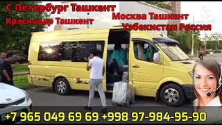 Автобус Москва Ташкент,Такси Москва Ташкент