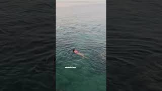 Natchathiram Nagargiradhu Fame Vinsu Sam Enjoying A Swim