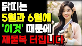 닭띠 5월과 6월에 '이 것' 알아야 부자됩니다 말년복 터지는 대운 징조 2024년 갑진년 대박나는 닭띠운세…