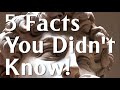 5 Amazing Facts About Michelangelo S David Travel History Vlog Art