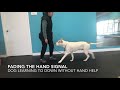 Teaching a Correct Down