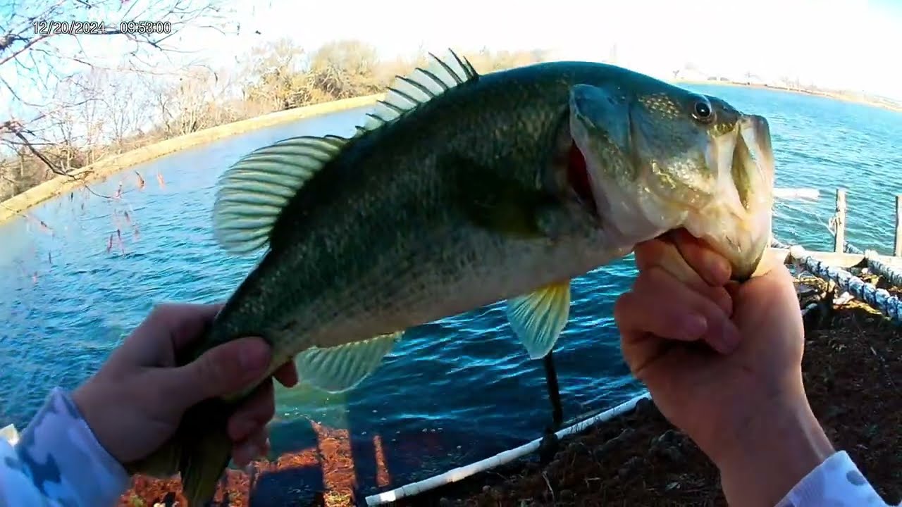 December bass fishing. (50 degrees)