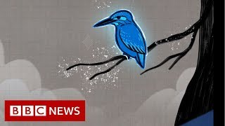 How a kingfisher helped reshape Japan's bullet train - BBC News screenshot 5